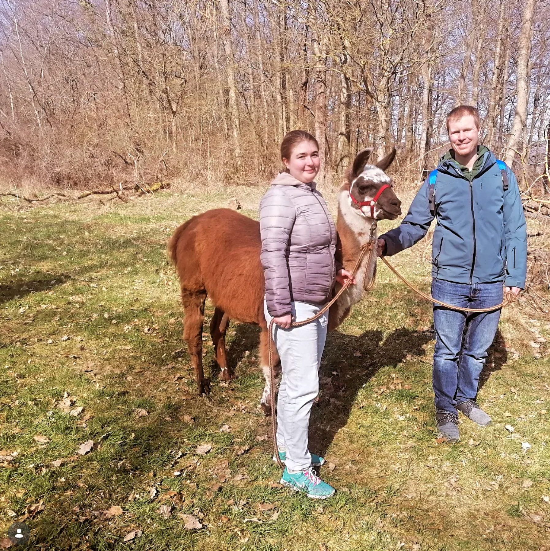 Katrin und Johannes mit einem Lama